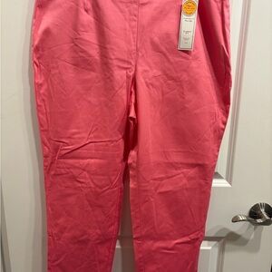 Charter Club Classic Fit Pink Pants
